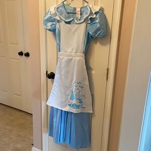 Disney Light Blue and White Storybook Women’s Costume